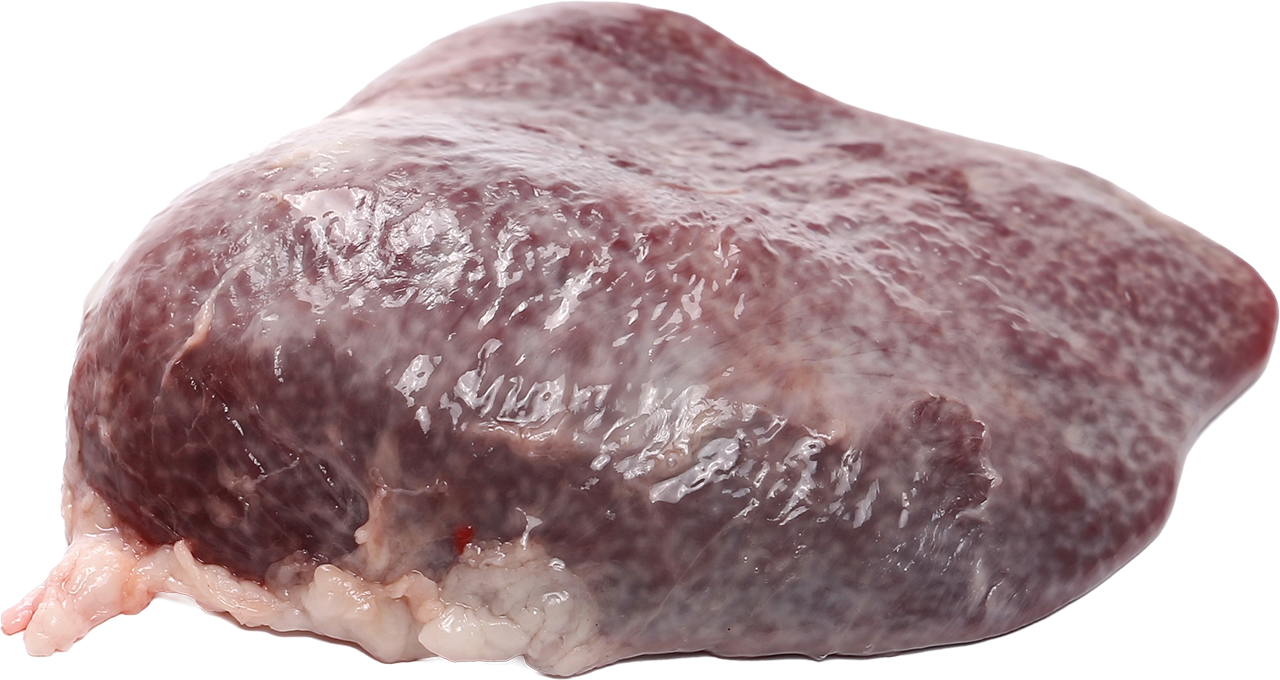 Bovine spleen ingredient illustration